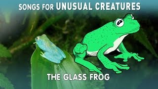 Glass Frog  Songs for Unusual Creatures  PBS Digital Studios [upl. by Pantheas]