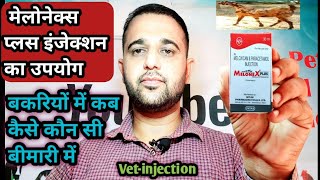 Melonex PlusMeloxicam and Paracetamol Injection use in Goat 🐐 बकरियों मे कौन सी बीमारी में कब [upl. by Dorrehs902]