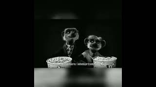 compare the meerkat advert 3 [upl. by Eidurt158]