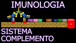 Aula Imunologia  Sistema Complemento  Imunologia 8 [upl. by Anurag]