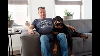 WAS DEZE ROTTWEILER NOG WEL TRAINBAAR  Privé balanssessie  Life coach Leidy [upl. by Nwahsar]