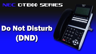 NEC DT800 Series  quotDo Not Disturbquot DND  MF Telecom Services [upl. by Assej]