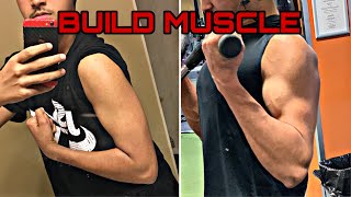 Best Workout Routine To Build Muscle  PPL Workout Split [upl. by Nahguav]