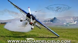 TRAILER II  ESCUADRILLA ARGENTINA DE ACROBACIA AÉREA [upl. by Antipus]