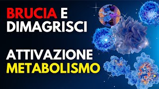 ATTIVAZIONE DEL METABOLISMO ☀️ Matrice Per Sbloccare i Processi Metabolici 🔥 Brucia e Dimagrisci [upl. by Popele710]