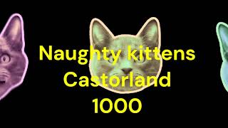 Puzzle Time Lapse Naughty kittens Castorland 500 [upl. by Jennine576]