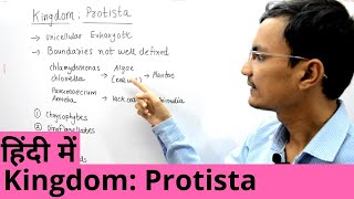 Kingdom Protista in Hindi [upl. by Rochelle127]