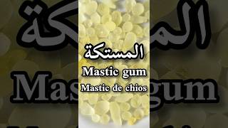 أهم الفوائد الصحية للمستكةMastic gum benefitsMastihaLes bienfaits du Mastic de Chiosshorts [upl. by Llennahs]