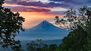 Música original para trío de cuerdas con escenas de naturaleza impresionantes y citas inspiradoras [upl. by Eugirne]