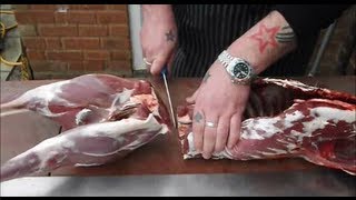 How To Butcher A Deer At HomeThe ultimate deer butchery videoVENISON [upl. by Jopa]