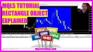 MQL5 TUTORIAL  Chart Object explained in 4 Minutes [upl. by Ainex]