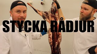 Hur Man Styckar Ett Hel Rådjur  Snacka Kött [upl. by Ayiotal]