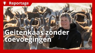 Duurzame geitenboerderij produceert kaasjes zonder toevoegingen [upl. by Ellebana351]