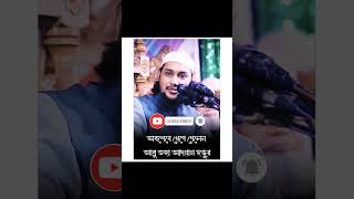 😡এত রাগ আগে দেখেনি 😡 শেখ হাসিনাকে এসব কি বললেন আবু তোহা আদনান । Abu taha muhammad adnan shorts [upl. by Ferreby]