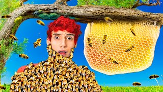 🔴Fabrico Miel con Peligrosas Abejas Salvajes que Atrapé🍯🐝 [upl. by Eldred]