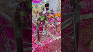 waheguru whatsappstatus punjabi status viralreels shots gurudwarasahibdelhigurudwara sikhi [upl. by Guttery]