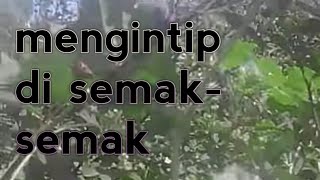 Main di semaksemak [upl. by Mosira]