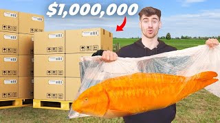 1000000 Koi Unboxing World Record [upl. by Link]