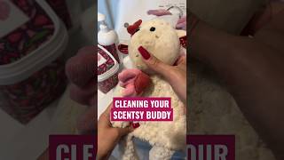 How To Clean Your Scentsy Buddy 🧺 The Washing Machine Method scentsybuddy scentsy [upl. by Berns]