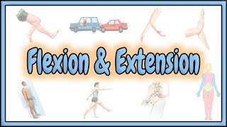 Horizontal flexion and extension [upl. by Harned]