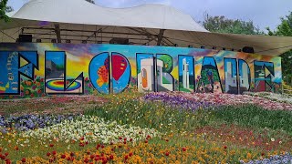 Floriade 2023 Canberra BestOfFlowersTV NatGeo discovery TravelGuidesAU australia flowers [upl. by Cuda]