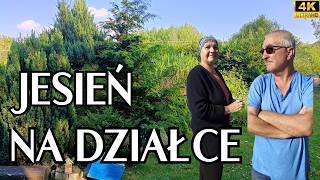 44 Jesień na działce na wsi garden ogród wieś [upl. by Einahpetse408]