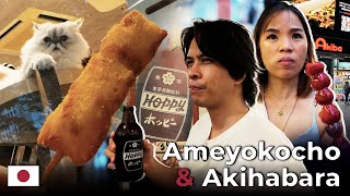 Kumain sa Ameyokocho Naulanan sa Akihabara  DenDanDun sa Japan Day 2 Pt 3 [upl. by Lesna347]