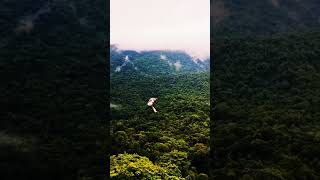 Banglore train journey travel nature mountains rain waterfall forestshorts [upl. by Quickman]