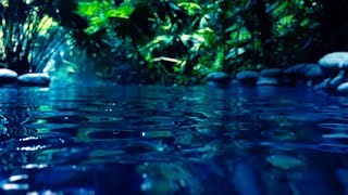 Water Sounds for Sleep or Focus  White Noise Stream 10 Hours [upl. by Cailly]