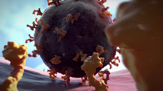 A Virus Attacks a Cell [upl. by Walling]