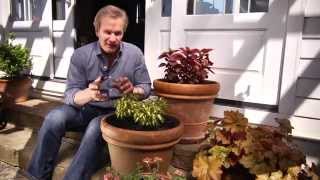 HowTo Water Your Plants With Waterwise® amp P Allen Smith [upl. by Seymour]