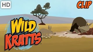 Wild Kratts  Aardvarks Great Escape [upl. by Genovera]