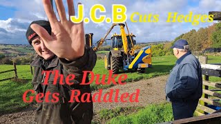 The Duke Gets Raddled Moving the cattle sorting the Tups Ewes get tupped JCB hedge cutter zeter3 [upl. by Enirod763]