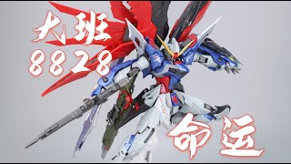 DABAN大班 8828 命运高达DESTINY GUNDAM [upl. by Ahsar]