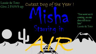 Misha in Air  Final Cut  Cutest pomsky dog in the world Dont miss this installment of the SAGA [upl. by Anitsrihc]