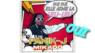 PANIK J X mikado972  À La Queue Leu Leu  Vidéo Lyrics [upl. by Saihtam537]