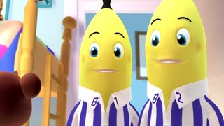 The Collection  Animated Episode  Bananas in Pyjamas Official [upl. by Lucas55]