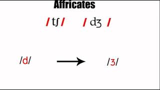 Affricates 4 phonetics course [upl. by Kcirreg520]