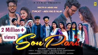 Sonpari  सोनपरी  new cg album song  Anish king  pallavi  singer Resham mahant SonPari cg [upl. by Kazue552]