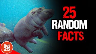 25 Astonishing Random Facts That Will Leave You in Awe [upl. by Mooney646]