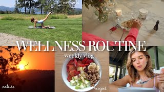 my wellness routine pt 3 [upl. by Nassi151]