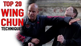 Top 20 wing Chun Techniques [upl. by Jabe3]