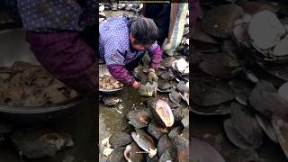 How do Vietnamese earn millions from oysters [upl. by Sukhum]