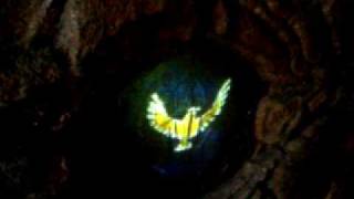 Disneyland DCA Brother Bear Kenai Spirit Cave CLIP 042706 [upl. by Droffilc]