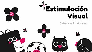 Video para bebes de 3 a 6 meses estimulacion visual [upl. by Aissenav695]