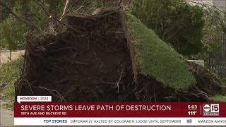 Monsoon aftermath What to do with trash and debris caused by storms [upl. by Tertius965]