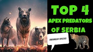 Apex Predators The Ultimate Comparison [upl. by Ahsata50]