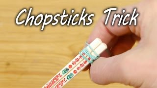 How to Use Chopsticks  Life Hack [upl. by Wieche442]