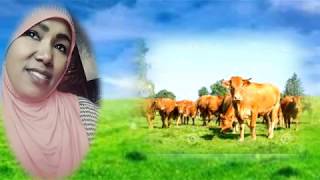 Faaxee Anniyyaa  Faaruu Looni  New Oromo Music 2017 [upl. by Sexton]