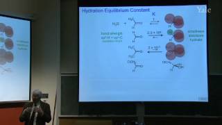 28 Mechanism and Equilibrium of Carbonyl Reactions [upl. by Beutner]